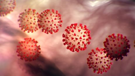 corona viruses
