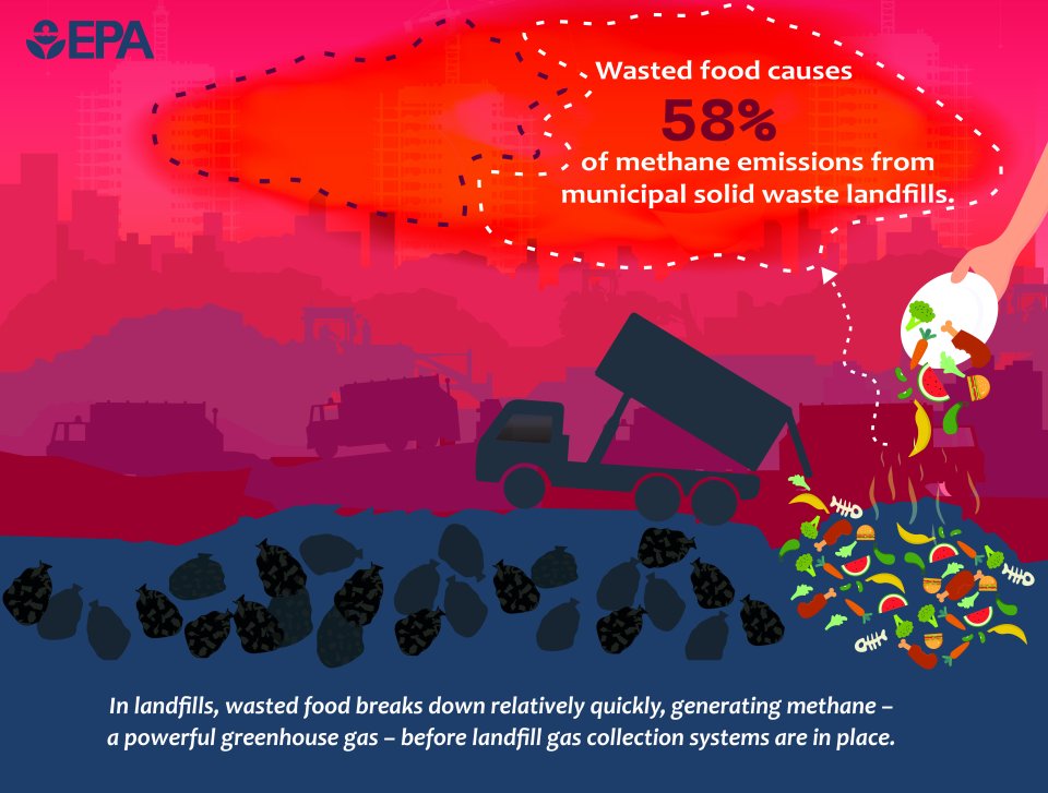 Illustration of a landfill with truck in foreground dumping food waste on the ground and superimposed in the corner a hand holding a plate with uneaten food being scraped into the food waste pile. Text at the bottom reads: In landfills, wasted food breaks down quickly, generating methane before landfill gas collection systems are in place. Wasted food causes 58% of methane emissions from landfills, but food waste only makes up about a quarter of the total waste in landfills. EPA logo
