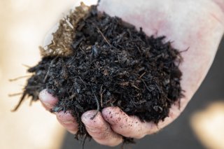 Closeup photo of Compost held in hand