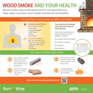Information graphic showing the cardiovascular and respiratory effects of wood smoke on health